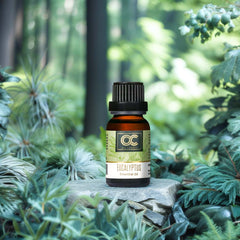 Lemongrass & Eucalyptus