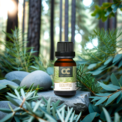 Rosemary & Eucalyptus