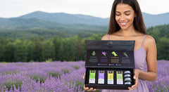 Oil County Collection